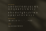 Gading Elegant Serif Display Font, a Serif Font by Perfectype (Thumbnail 7 of 8)