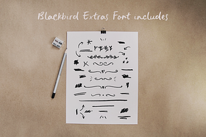 Blackbird Crayon Script SVG Font