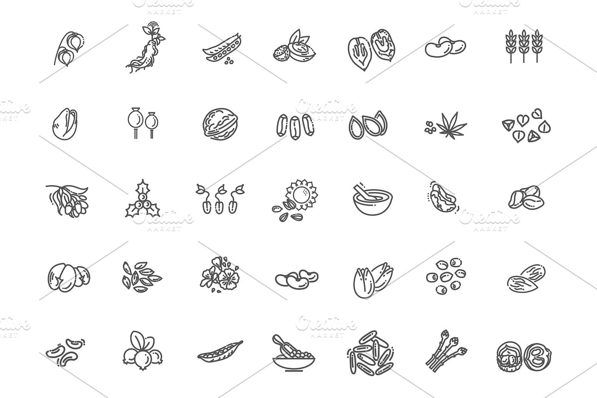 Plant Seed and Nuts vector icon set, an Object Illustration by Tettygreen (Photo 1 of 3)