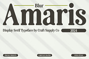 Amaris Blur, a Serif Font by Craft Supply Co. (Thumbnail 1 of 8)
