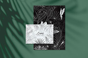 Tropical collection, a Decorative Illustration by Merfin (Thumbnail 2 of 10)