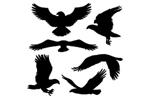 Eagle Or Hawk Silhouettes