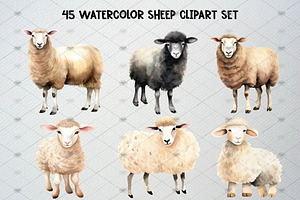 Watercolor Sheep Clipart, Lamb Png