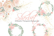 Watercolor Flowers - Sherbet, an Illustration by Feather Grace Designs (Thumbnail 3 of 7)