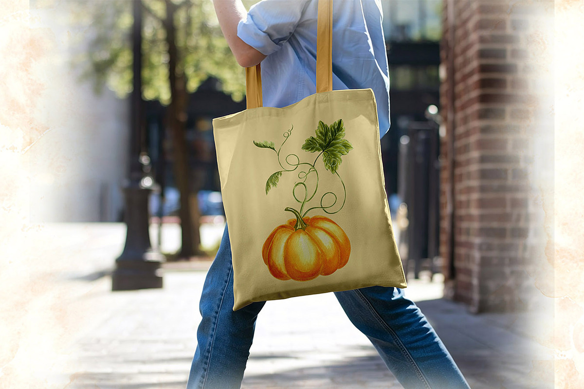 Autumn pumpkins watercolor clipart, a Decorative Illustration by susie-p-art (Photo 5 of 17)