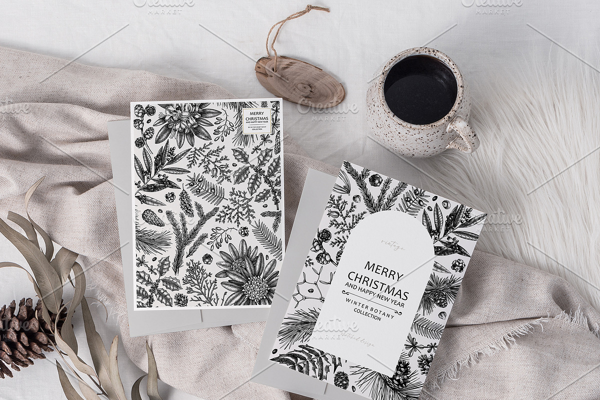 Winter Plants Set. Christmas Designs, a Seasonal Illustration by Yevheniia (Photo 9 of 13)