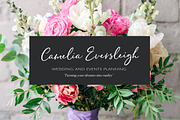 Pringle & Tweed Script, a Script Font by Nicky Laatz (Thumbnail 11 of 13)