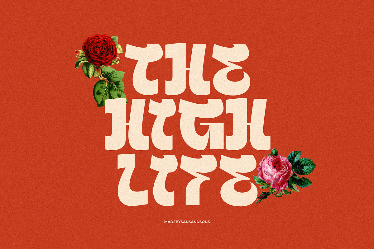 SNS - Querish, a Sans Serif Font by Sans & Sons (Photo 10 of 10)