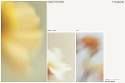 FLORET Blur Flower Backgrounds, a Background Graphic by Aesthetic Eye (Thumbnail 15 of 19)