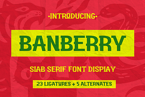 Banberry - Display Font