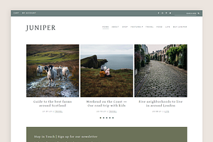 Juniper Theme Genesis Child Theme