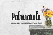 Palmarola Serif, a Serif Font by Lhotse (Thumbnail 1 of 7)