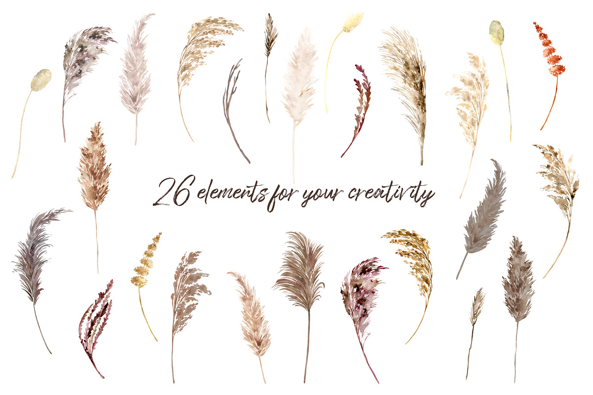 Watercolor pampas grass collection, a Decorative Illustration by TanyaOak (Photo 5 of 8)