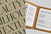 Vogures Fabric Modern Elegant Serif, a Serif Font by timelesstype.co (Thumbnail 8 of 10)