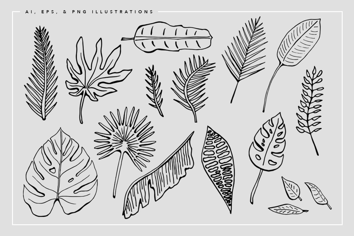 Tropical Watercolor Illustrations, an Illustration by Spring Break Jake (Photo 7 of 19)