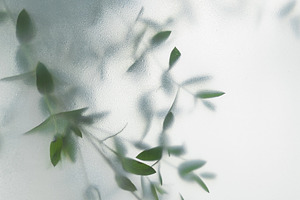 Soft green leaves behind frosted gla