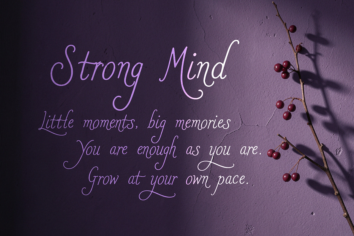 Romanster Merkuria - Elegant Script, a Handwritten Font by HypeWorksCo (Photo 14 of 16)
