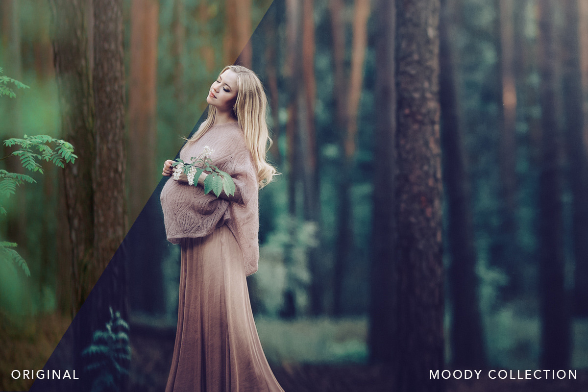 MOODY PHOTOSHOP ACTIONS ACR PRESETS, an Action Add-On by BeArt-Presets (Photo 6 of 15)