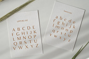 Celestar Font, a Sans Serif Font by Graphicdome (Thumbnail 5 of 11)