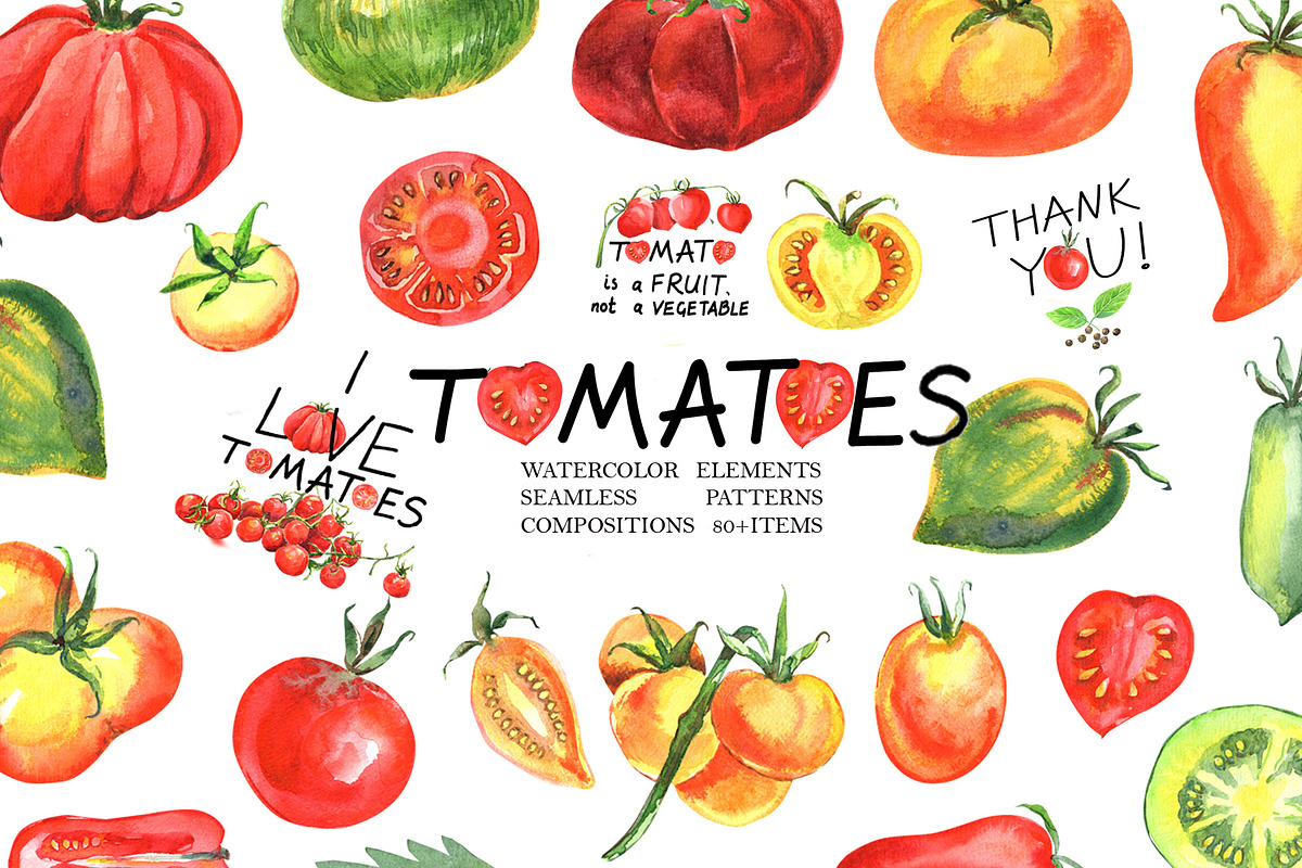 Watercolor TOMATOE, a Food Illustration by JennyColorArt (Photo 1 of 9)