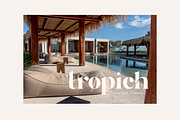 Hello Branch 8 Font Family, a Serif Font by Sans & Sons (Thumbnail 5 of 12)