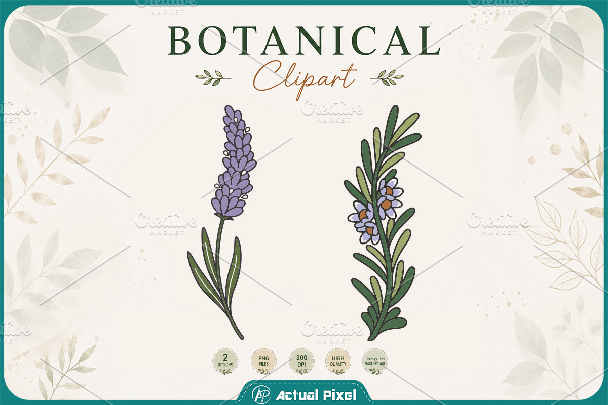 Boho Botanical Leaves Clipart Bundle, a Nature Photo by Actual Pixel (Photo 10 of 21)