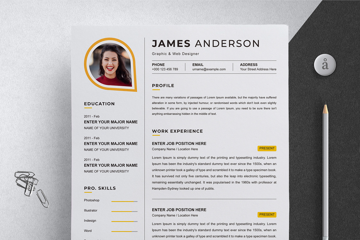 Resume Template for Web designer, a Resume Template by X-Type (Photo 3 of 4)
