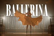 SureThing Elegant Serif Font, a Serif Font by Graphicxell (Thumbnail 9 of 10)
