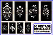 20 Elegant Botanical Ornament SVG, a Decorative Illustration by Artivon (Thumbnail 1 of 4)