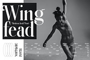 Wingfead Modern Serif Font, a Serif Font by Storytype Studio (Thumbnail 2 of 15)