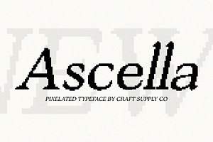 Ascella Pixel, a Serif Font by Craft Supply Co.