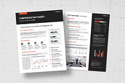 Factsheet Template, a Flyer Template by BrandPacks (Thumbnail 5 of 5)