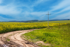 Spring rapeseed yellow blooming fields and religious cross near, a Nature Photo by YuriyB
