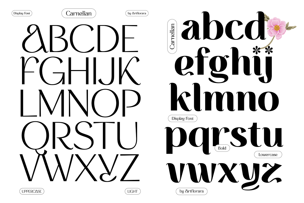 CARNELIAN - Display Variable Type, a Sans Serif Font by Artflorara (Photo 12 of 15)