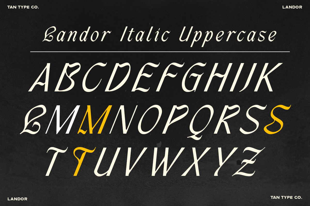 TAN - LANDOR, a Blackletter Font by TanType (Photo 11 of 14)