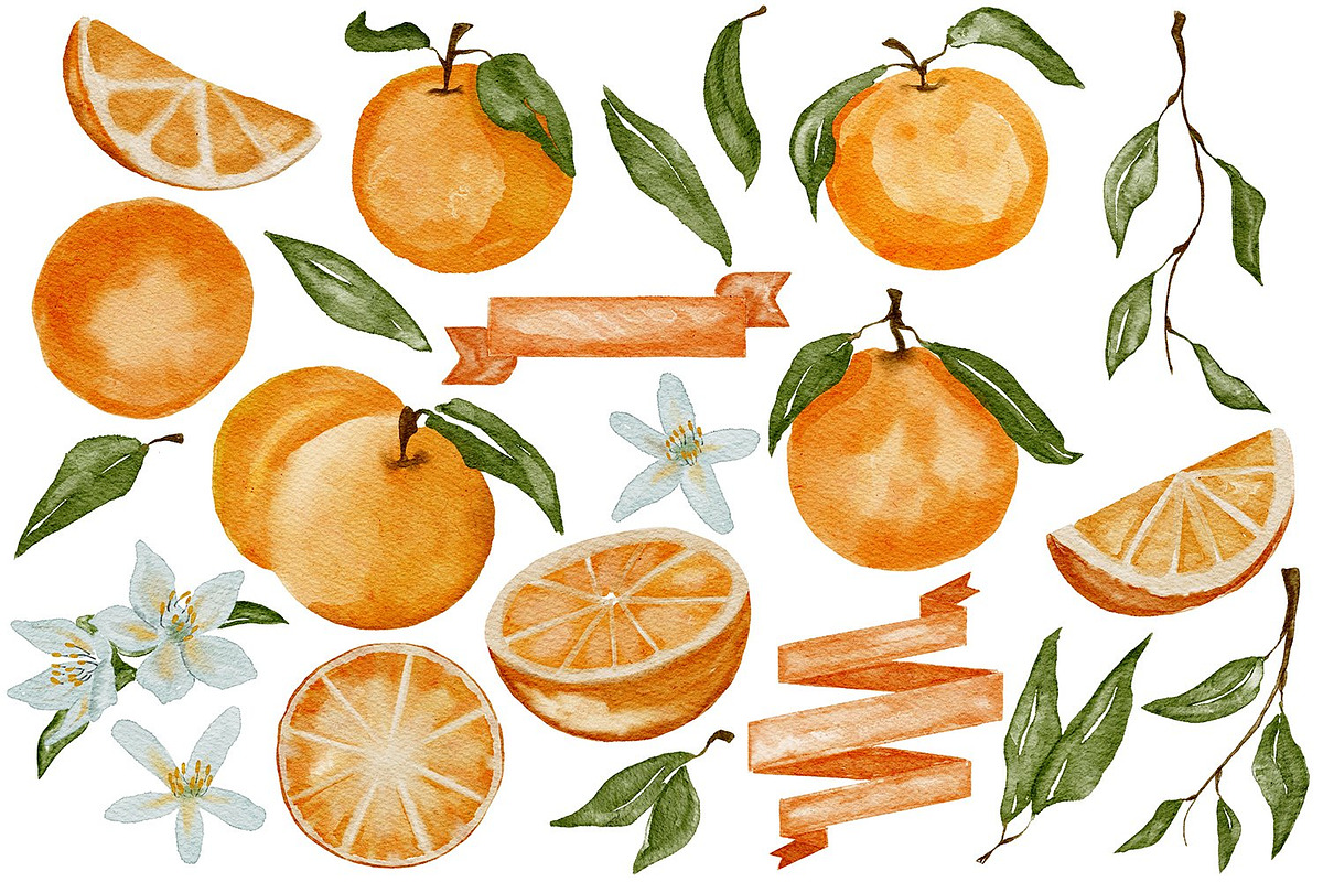 Watercolor Orange clipart PNG, a Decorative Illustration by LuiDesignStudio (Photo 2 of 4)