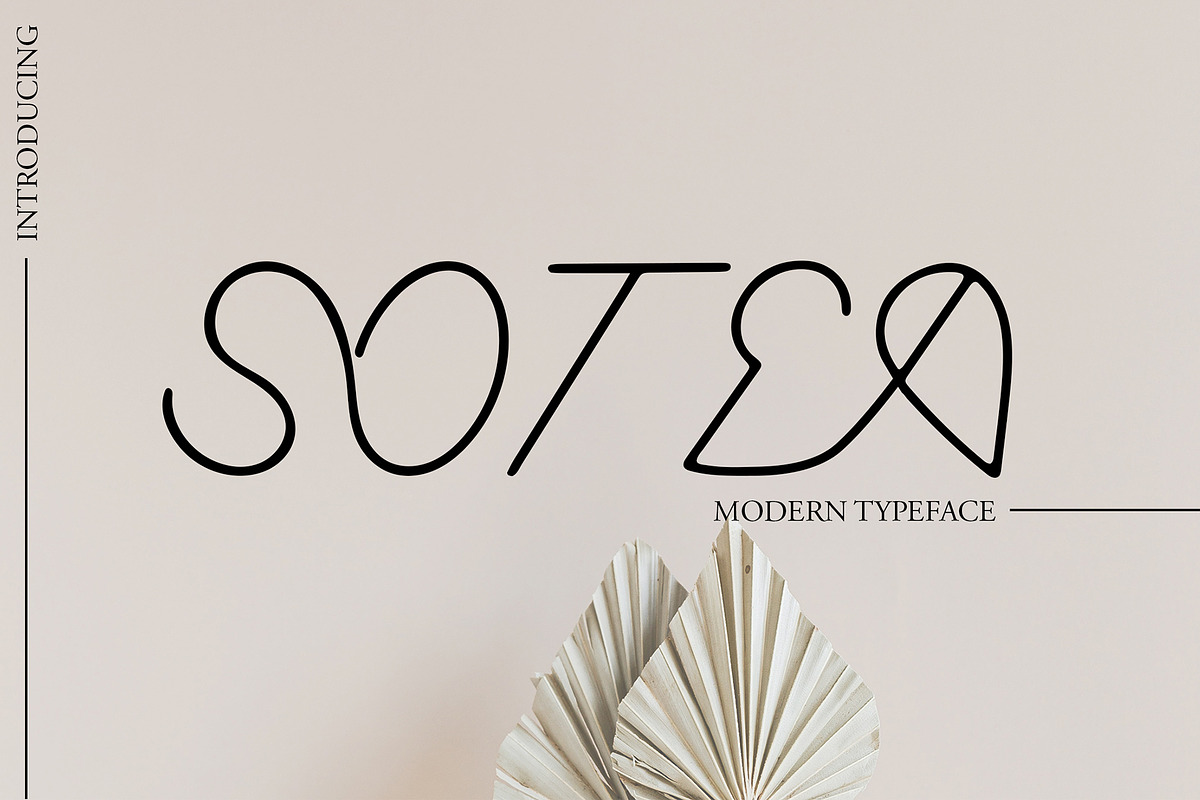 Sotea, a Sans Serif Font by Tsurayya Studio (Photo 1 of 5)
