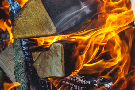 Burning fire in the grill with logs. Close-up. Concept of forest, a Nature Photo by TanaCh