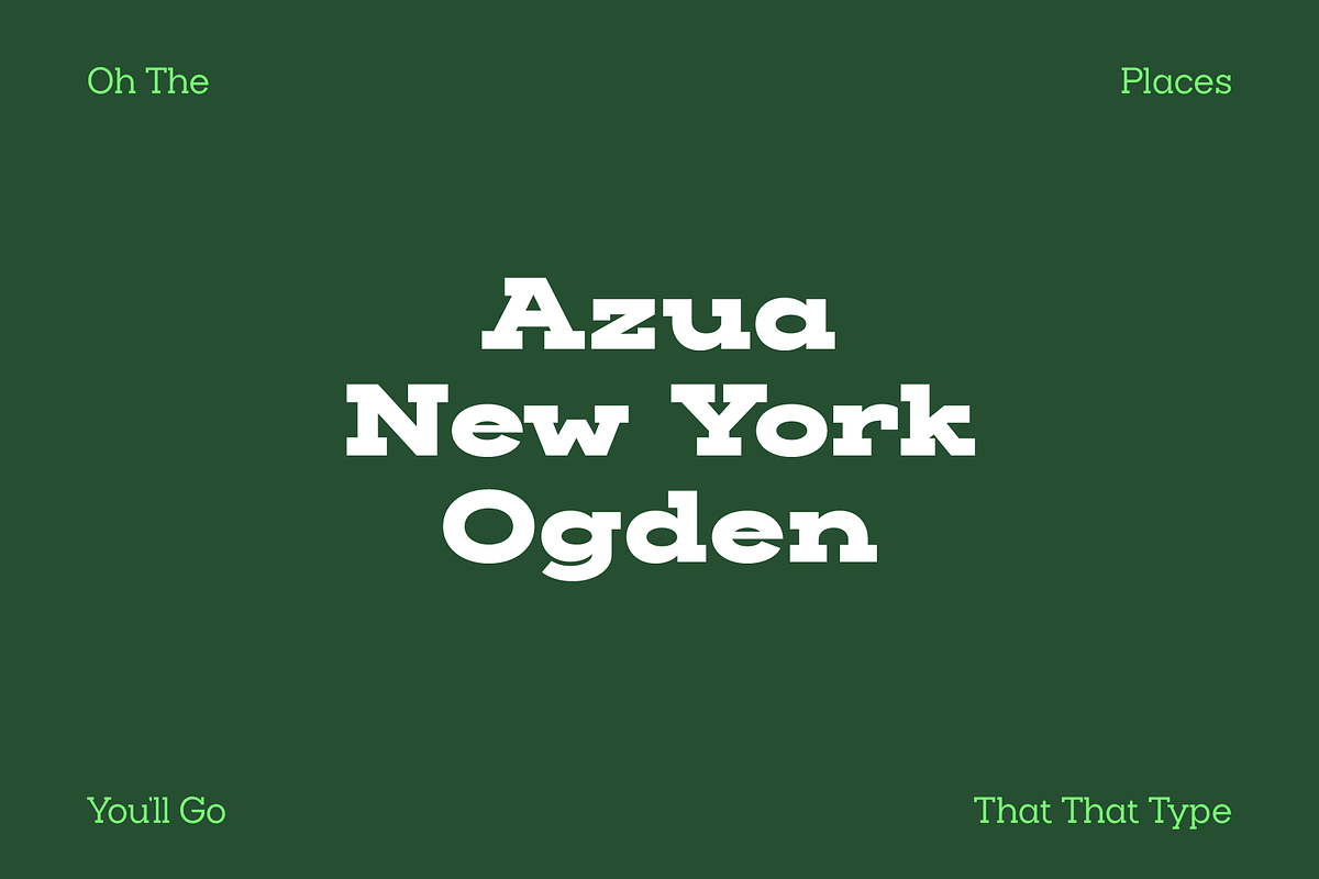 Slaab Font Family 45 Styles, a Slab Serif Font by That That Creative (Photo 13 of 13)