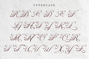 Cardilan | Tattoo Font, a Script Font by Romiecreative (Thumbnail 6 of 8)