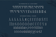 Mostlight Modern Alternate Serif, a Serif Font by Letterena Studios (Thumbnail 14 of 15)