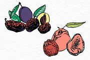 Nuts and snacks, a Food Illustration by Ann Astro (Thumbnail 13 of 24)