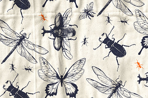 Insects In Patterns And Cliparts