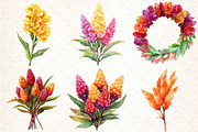 Celosia Flower Clipart, an Illustration by DreamCafeArt (Thumbnail 2 of 9)
