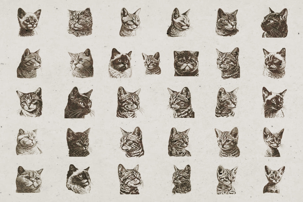 Cat Breeds Portrait Illustrations, an Animal Illustration by Nocturnal Wolf (Photo 7 of 10)