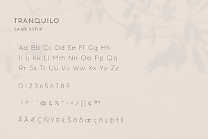 Tranquilo Boho Font Duo