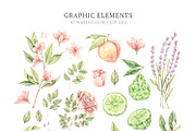 Organic LAB. Watercolor kit, a Decorative Illustration by Kate Macate (Thumbnail 6 of 9)