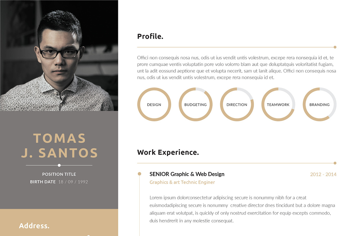 Resume/CV, a Resume Template by UX-group (Photo 6 of 7)