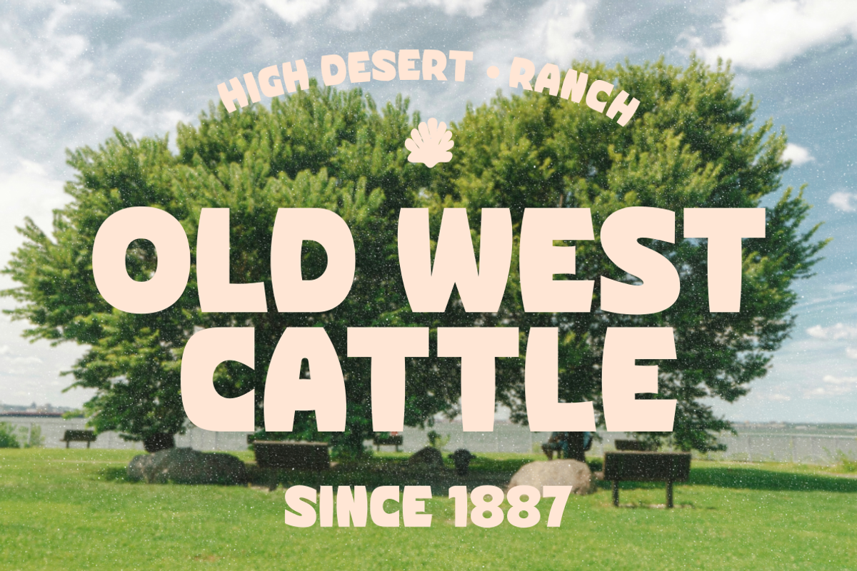 Corva Bold Inside, a Sans Serif Font by zeenesia (Photo 6 of 14)