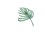 Watercolor Tropical Leaves Clipart, an Object Illustration by Awieee1 (Thumbnail 2 of 3)